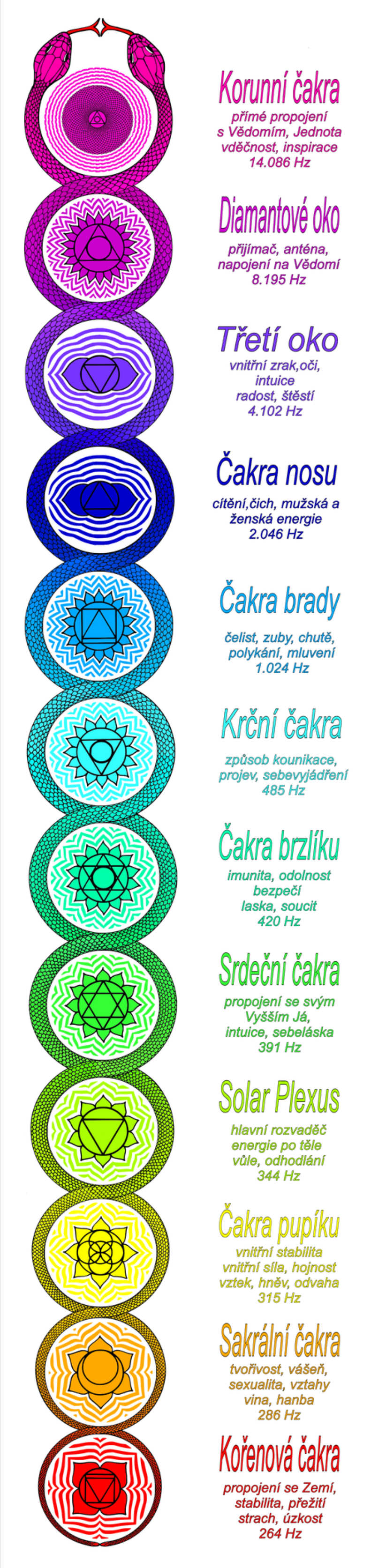 harmonizace čaker, barvy, čakry a jejich význam