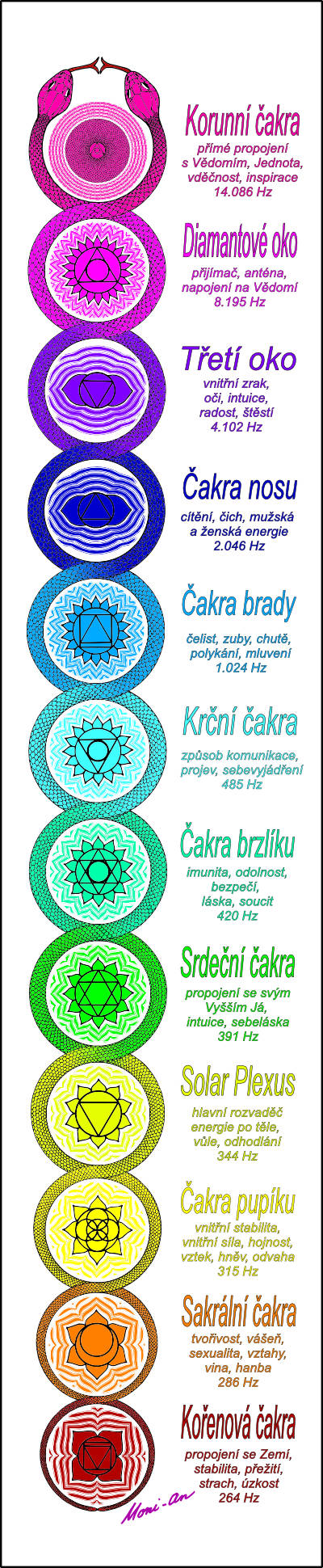 harmonizace čaker, barvy, čakry a jejich význam